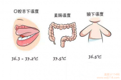 紅外線(xiàn)溫度計測哪最準？