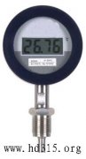 數字溫度計(RS-485數字通信接口，-50 ~ 500℃，防振防爆)型號:MN3/DTR100庫號:M39394